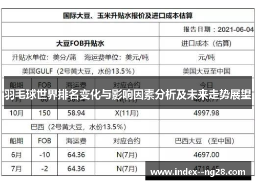 羽毛球世界排名变化与影响因素分析及未来走势展望 羽毛球世界排名变化与影响因素分析及未来走势展望