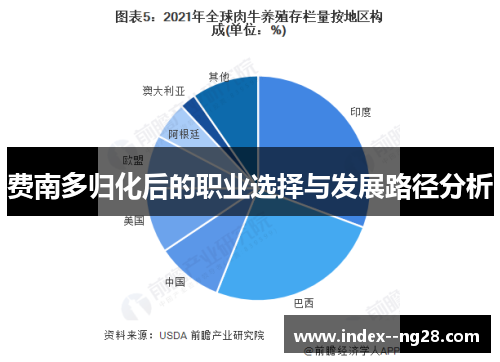 费南多归化后的职业选择与发展路径分析 费南多归化后的职业选择与发展路径分析