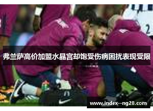 弗兰萨高价加盟水晶宫却饱受伤病困扰表现受限 弗兰萨高价加盟水晶宫却饱受伤病困扰表现受限