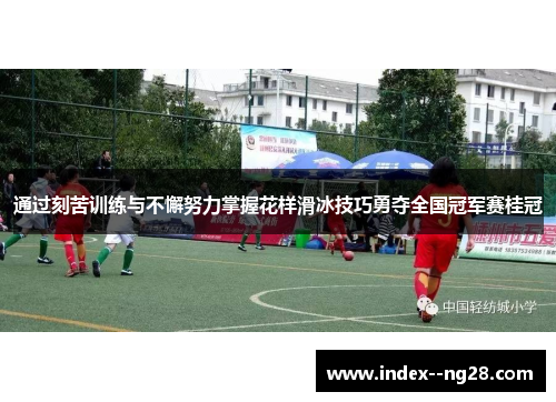通过刻苦训练与不懈努力掌握花样滑冰技巧勇夺全国冠军赛桂冠
