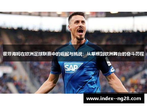 霍芬海姆在欧洲足球联赛中的崛起与挑战：从草根到欧洲舞台的奋斗历程